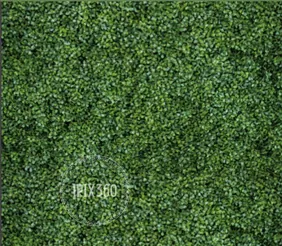 Green Hedge backdrop