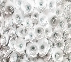 White Flowers backdrop